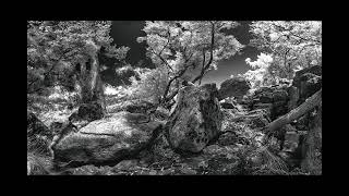 Infrared Panorama #1