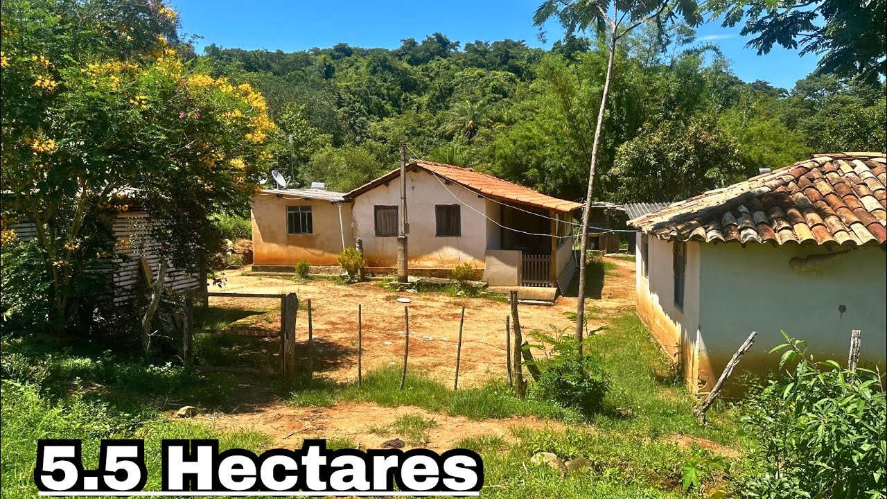 Sítio a venda por apenas 190 mil com duas casa + pastagem + Frutíferas e documentado.