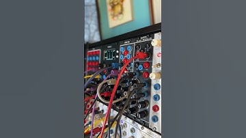 hale modular sync vco + qfr