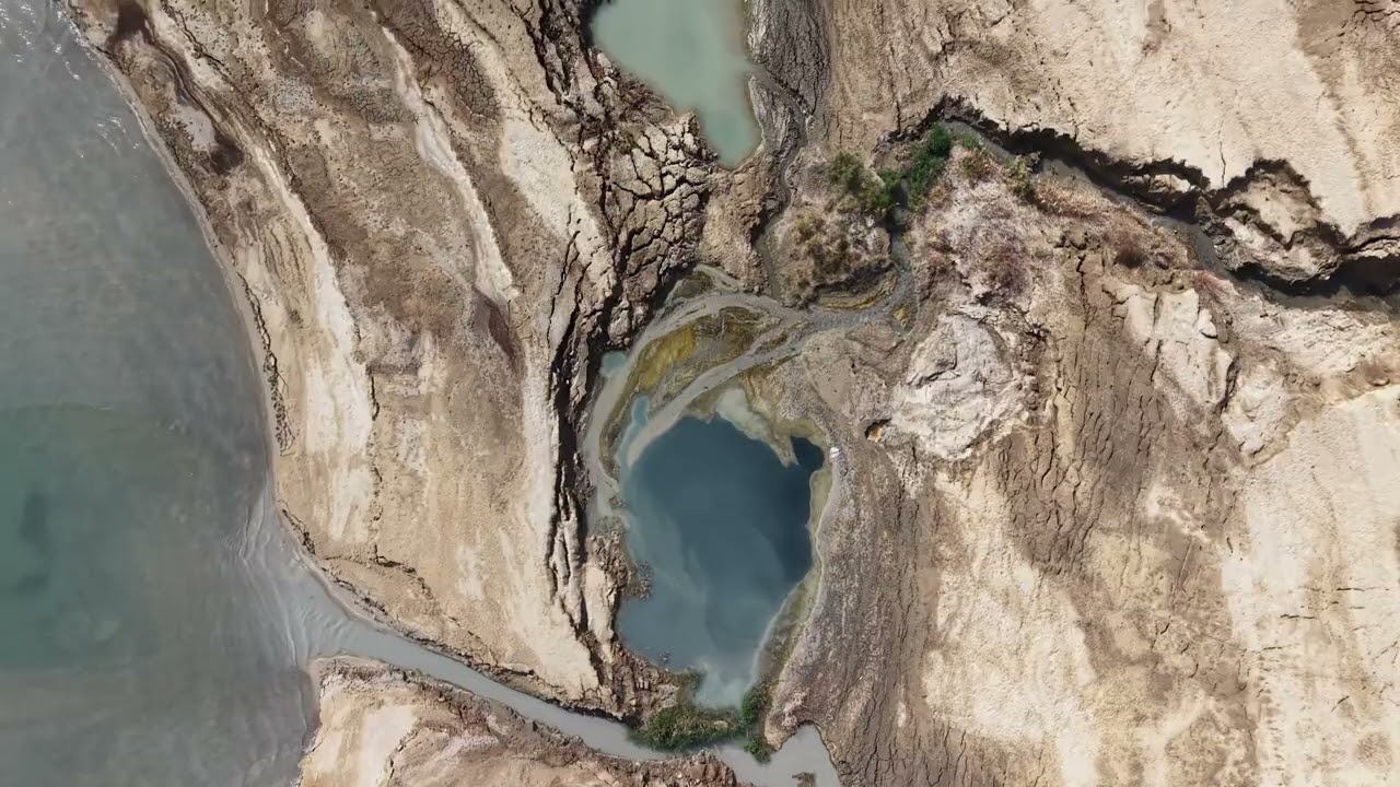 פריחה בים המלח 03/2026