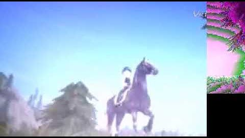 Did You Miss Me? || SSO ||