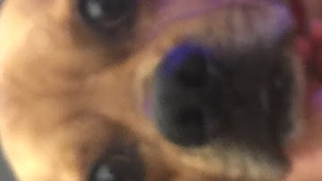 Minecrat Lets Play 1 /LETS GO MINING