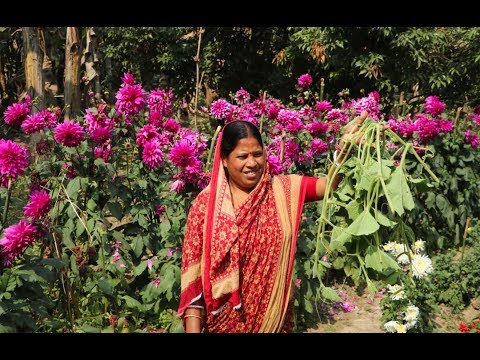 ভিডিও: মার্চ 8 এর জন্য শাকসবজি এবং ফলমূল থেকে রেসিপি