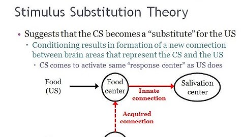 PSYC 370 Video Lecture - Stimulus Substitution Theory