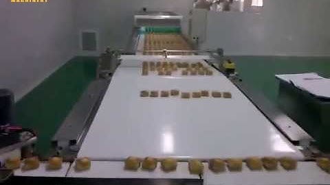 Auto Feeding Flow Wrapper, Automatic Feeding Flow Wrap Machine,Automatic Feeder, Flow Wrapper