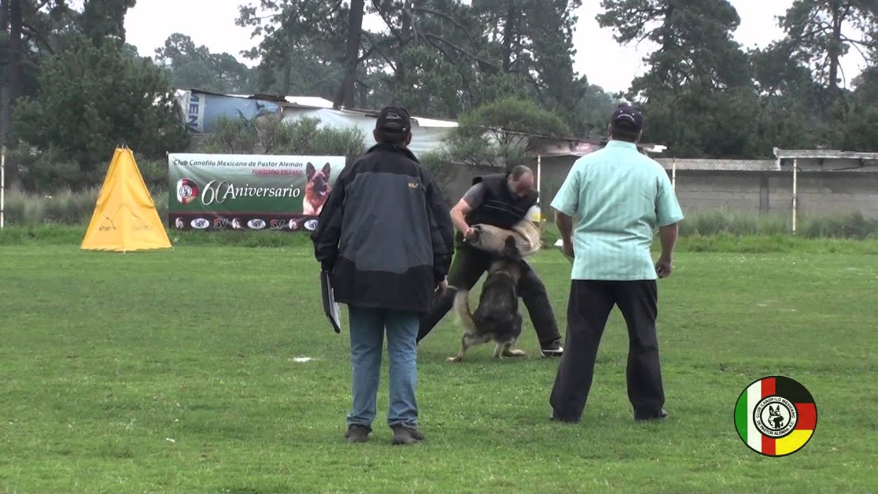 upload image Campeonato Nacional Mexicano 2013, Jabina Orry C - 84 pts.
