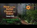 How to Use the Canon 90D in the Auto Mode