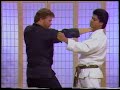 Kenpo self defense concepts