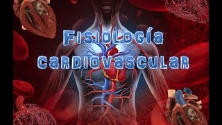 Define sistema cardiovascular? el ¿Qué