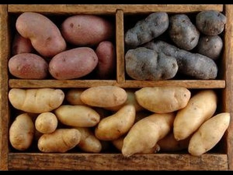Как правильно хранить картофель дома - хранение картофеля полезные советы от @Ed_Black