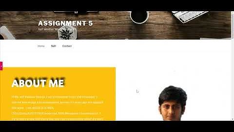 portfolio Elementor Wp