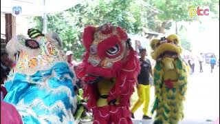 barongsai NIRWANA / burok pkc live desa salareuma kuningan 12 oktober 2024‎@PKCOFFICIAL 