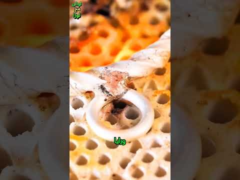 اختراعات بسيطه يمكن عملها فى المنزل ج٨٣ قصص المتابعين ج١٢ ماما صح ولا صح جدا قصص حكايات Shorts