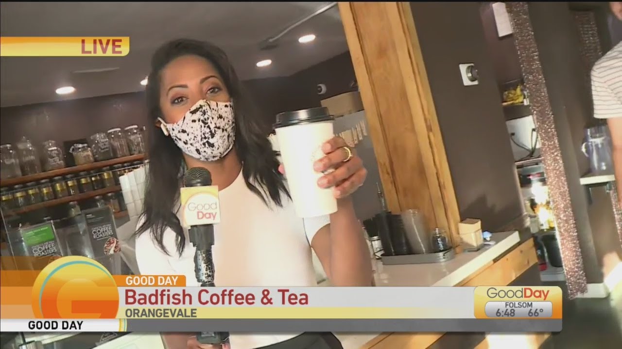 Orangevale Hidden Gems Badfish Coffee and Tea YouTube