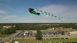 Aurora, a 110 SQM Trilobite, flew at the Kenai Kite Festival on June 4th.