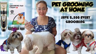 HOW TO GROOM YOUR SHIH TZU AT HOME TUTORIAL || ANG LAKI NG NASI SAVE KO