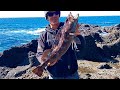 Rock Fishing The Oregon Coast, Lingcod FISHING HEAVEN!!