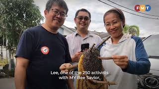 Activists aim to save the bees through rescue missions