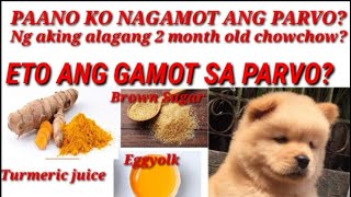 Ano ang Mabisang Gamot Sa Parvo virus? Tips Para Mabilis gumaling ang alagang Aso!!! #parvovirus