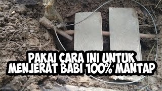 membuat jebakan babi atau hama babi menggunakan seling