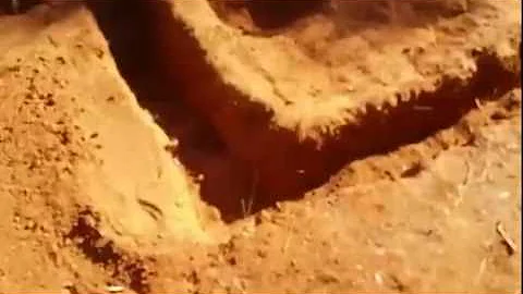 Leonora Gold prospecting Western Australia