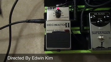 ISP Technologies Decimator II Noise Reduction Pedal Review