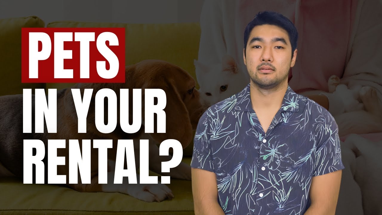 4 Steps To Create a Clear Pet Policy for Your Rental - YouTube
