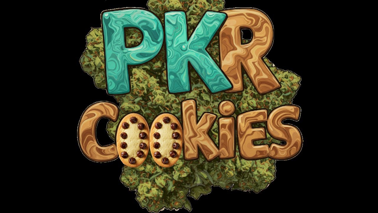 WE HERE DONT WORRY!!! LETS GO BACK AND LOOK WHY WE EVEN STARTED PKR! BACK TO THE ROOTS