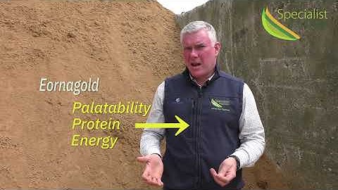 Conception and embryo retention, how Eornagold plays its part | Michael Cleary, Nutritionist