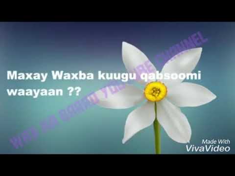 Hadal Xikmad Badan Oo Xaqiiq Ah