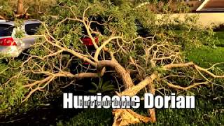 Hurricane Dorian, Gonzalez &amp; Associates.