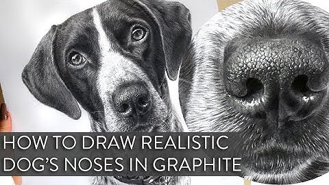 How to Draw a Realistic Dog
