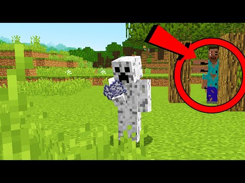 Minecraft CREEPYPASTA: That Thing Part 2