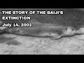 Baiji - Recently Extinct Animals