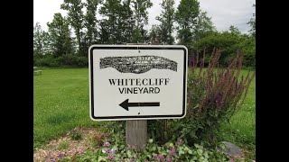 Exploring the Shawangunk Wine Trail - Whitecliff Vineyard
