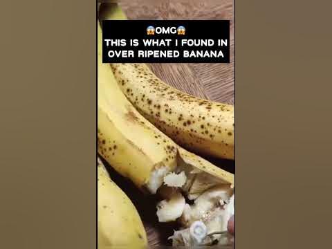 😱OMG worm eating banana | banana under microscope with worms #shorts #
