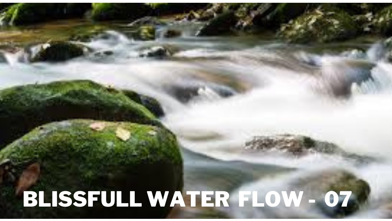 6 Hours Relaxing Nature Sounds Calming Birdsong Sound of Water ...
