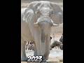 2023White elephant and 5000bce White Elephant |mythical genius| #viral #foryou #foryou #foryou