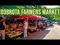 Favorite Area in Kotor | Walking Tour