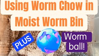 Using Worm Chow In Moist Worm Bin - Plus Worm Ball