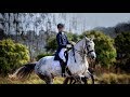 Anti-Gravity -  Equestrian Music Video