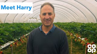 Co-op | Meet Harry, a Co-op strawberry producer
Harry takes us around his strawberry farm in Surrey, all of our British strawberries come from farms like this one.
Find out more about Harry on the blog: https://www.coop.co.uk/blog/from-patch-to-plate-behind-the-scenes-with-a-british-strawberry-producer Co-op | Meet Harry, a Co-op strawberry producer