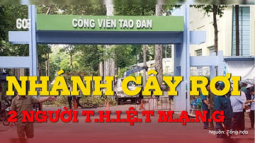Nhánh cây rơi đè nhóm người ở công viên Tao Đàn, 2 người thiệt mạng |Tin tức mỗi ngày #youtube