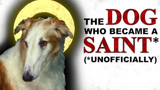 The Dog Who Almost Became a Catholic Saint