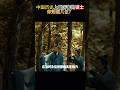 中国历史上最厉害的谋士你知道几位 ?#中国历史#谋士