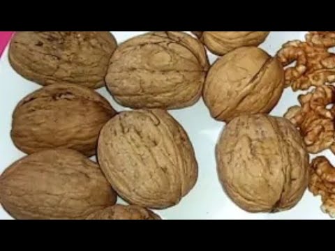 Video: Walnut - 12 Khasiat Berguna, Bagaimana Dan Berapa Banyak Untuk Dimakan?