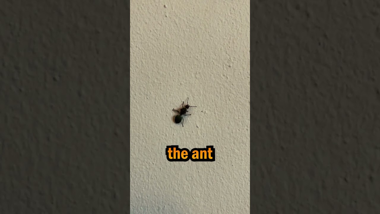 🧟‍♂️ Real-Life Zombies Exist! 😱🐜 #didyouknow #science #funfacts #zombie