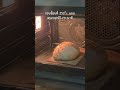 มาลองใช้ Baking Shell ของ Brod & Taylor กัน #sourdough #ซาวโด #ซาวโดว์ #bakingshell #brodandtaylor