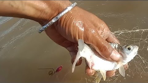 Hạnh trình của Tham Rc 81 đi thà lưới bắt cá ở Ayun hạ rất vui