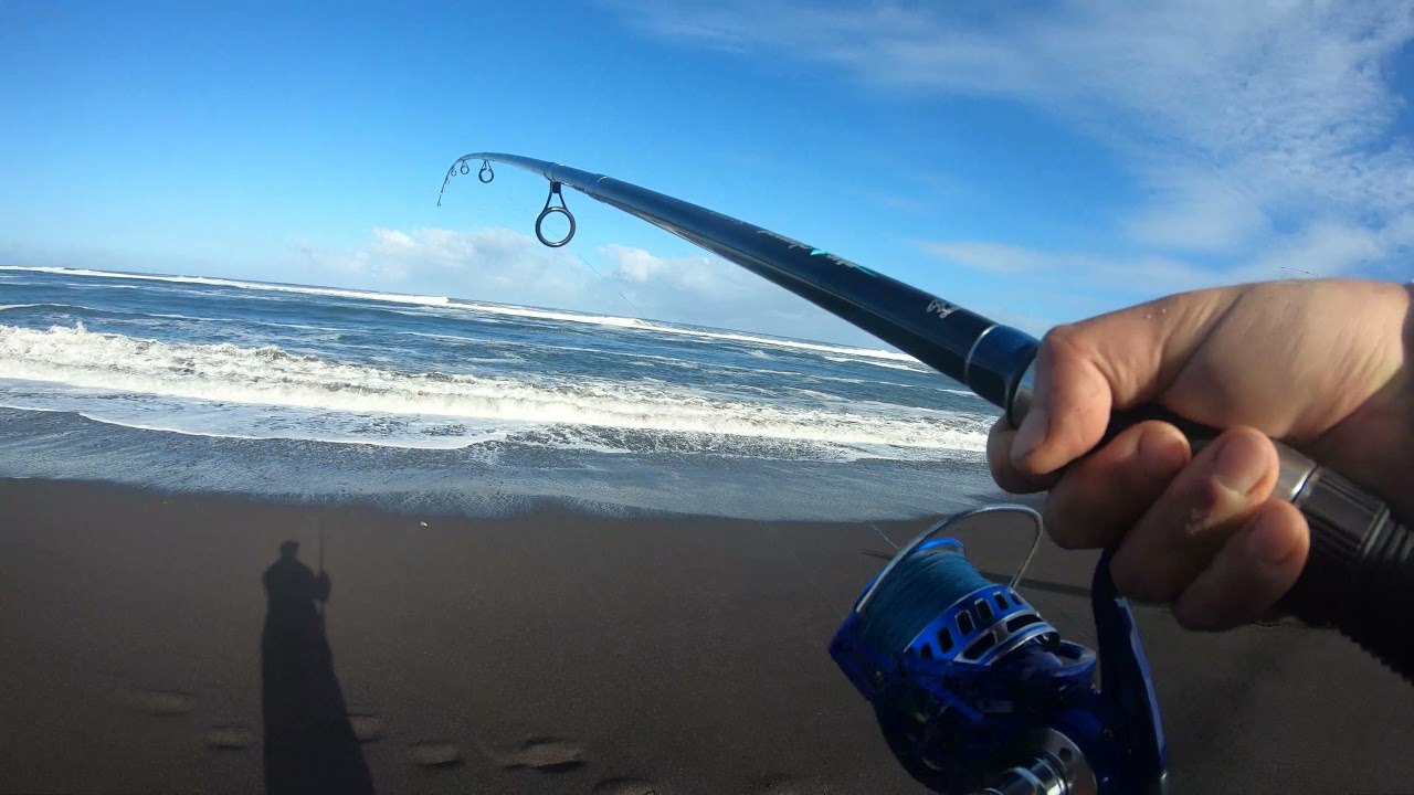 Campeonato de pesca variada Quivolgo 2021 Aprendiendo a pescar en el